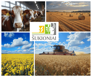 UAB „Šukioniai“: Tradicijų, pažangos ir atsakomybės dermė žemės ūkyje